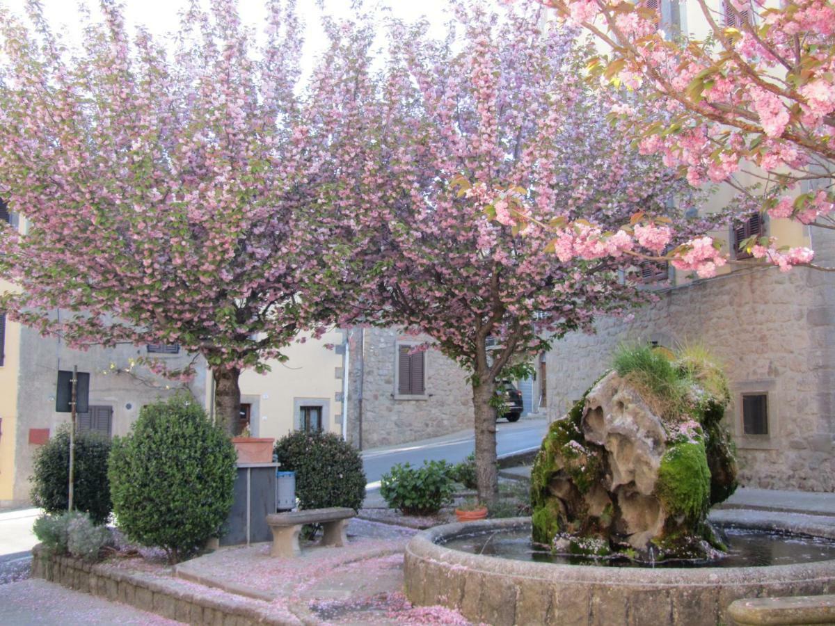 شقة Casa Giuly Vivo dʼOrcia المظهر الخارجي الصورة